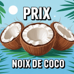 prix d une noix de coco illustration vectorielle tropicale