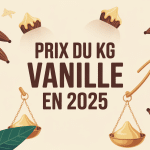 prix du kg de vanille 2025 illustration balance gousses